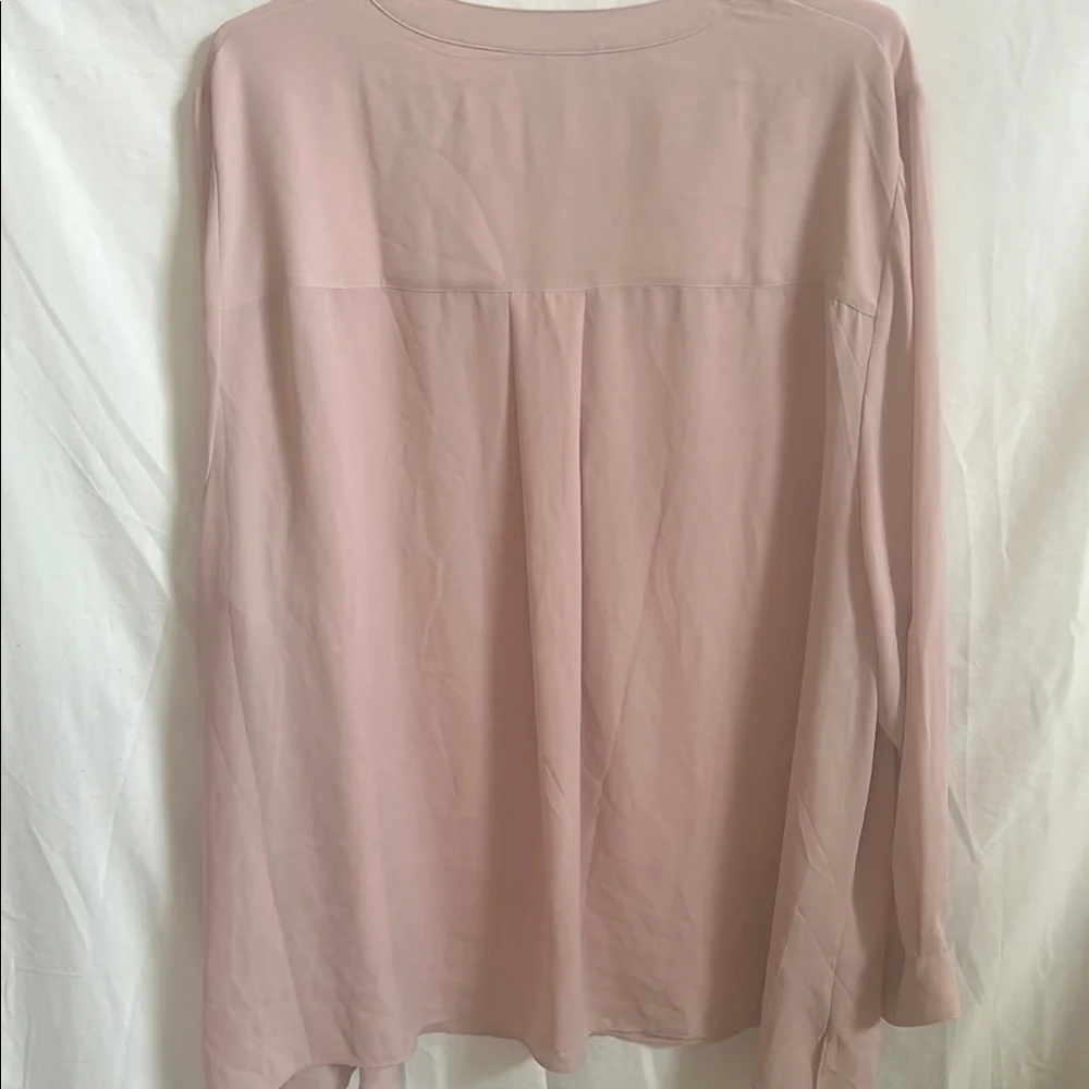 Pale Pink Sheer Women's Top by Lane Bryant - Picture 11 of 11